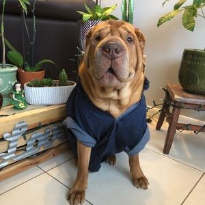 Meet your Posher, Steph